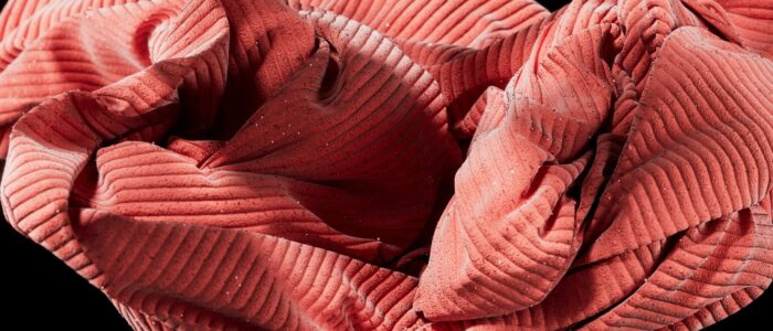 max-petrunin-HPr7Ez5N0Yo-unsplash